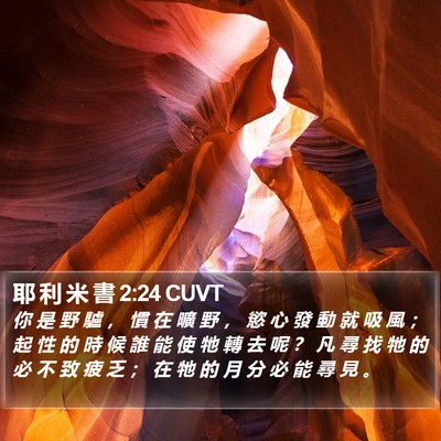 耶 利 米 書 2:24 CUVT Bible Verse Image