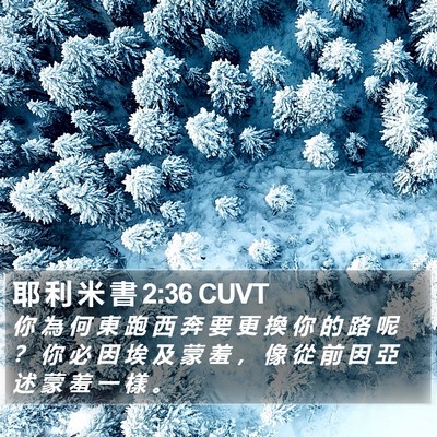 耶 利 米 書 2:36 CUVT Bible Verse Image