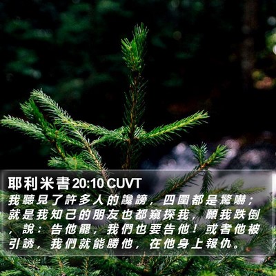 耶 利 米 書 20:10 CUVT Bible Verse Image