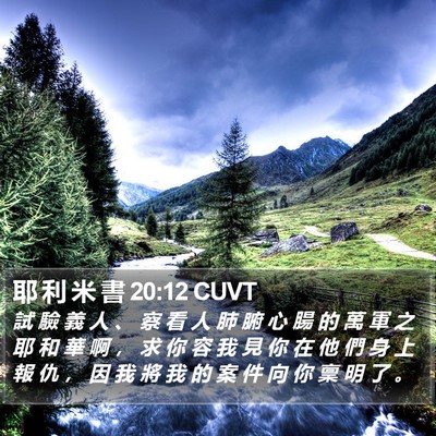 耶 利 米 書 20:12 CUVT Bible Verse Image