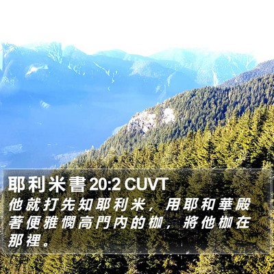 耶 利 米 書 20:2 CUVT Bible Verse Image