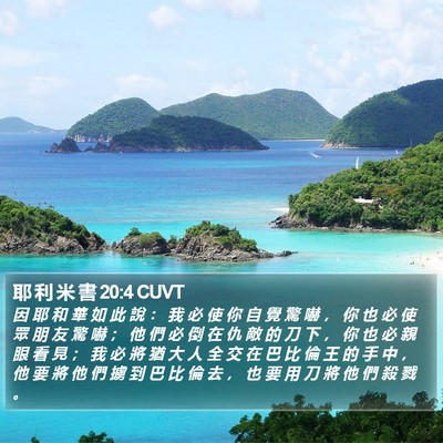 耶 利 米 書 20:4 CUVT Bible Verse Image