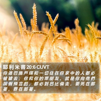 耶 利 米 書 20:6 CUVT Bible Verse Image