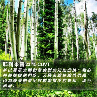 耶 利 米 書 23:15 CUVT Bible Verse Image
