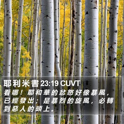 耶 利 米 書 23:19 CUVT Bible Verse Image
