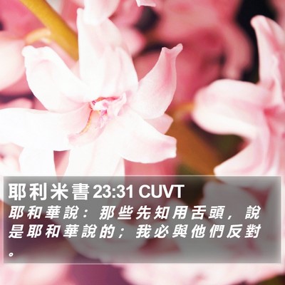 耶 利 米 書 23:31 CUVT Bible Verse Image