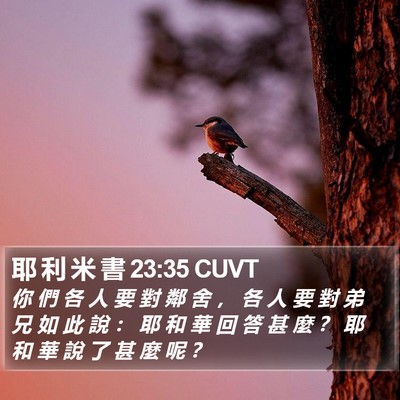 耶 利 米 書 23:35 CUVT Bible Verse Image
