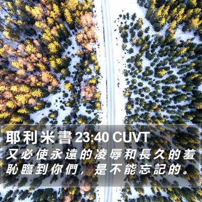 耶 利 米 書 23:40 CUVT Bible Verse Image