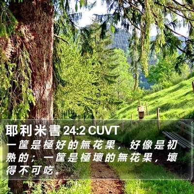 耶 利 米 書 24:2 CUVT Bible Verse Image