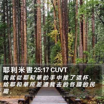 耶 利 米 書 25:17 CUVT Bible Verse Image