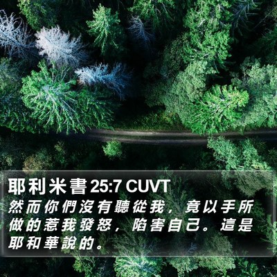 耶 利 米 書 25:7 CUVT Bible Verse Image