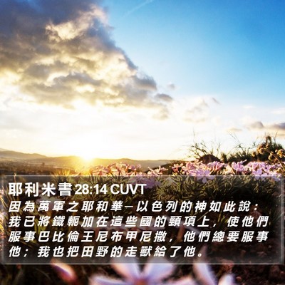 耶 利 米 書 28:14 CUVT Bible Verse Image