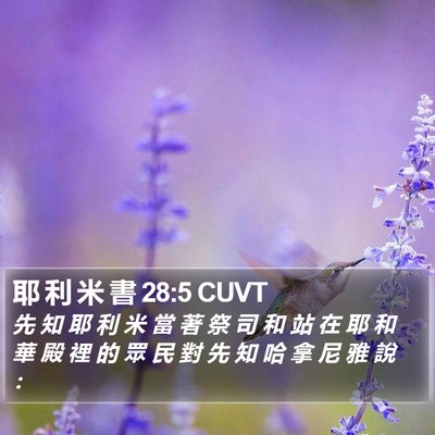 耶 利 米 書 28:5 CUVT Bible Verse Image