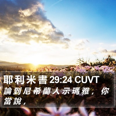 耶 利 米 書 29:24 CUVT Bible Verse Image