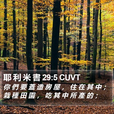 耶 利 米 書 29:5 CUVT Bible Verse Image