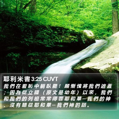 耶 利 米 書 3:25 CUVT Bible Verse Image