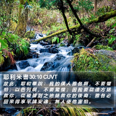 耶 利 米 書 30:10 CUVT Bible Verse Image