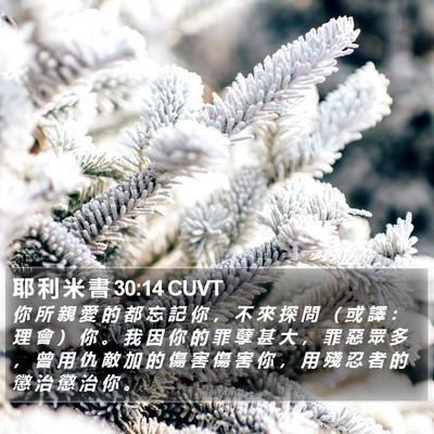 耶 利 米 書 30:14 CUVT Bible Verse Image