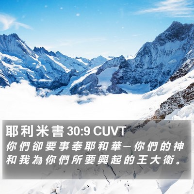 耶 利 米 書 30:9 CUVT Bible Verse Image