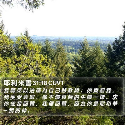 耶 利 米 書 31:18 CUVT Bible Verse Image