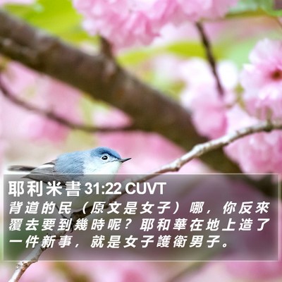 耶 利 米 書 31:22 CUVT Bible Verse Image