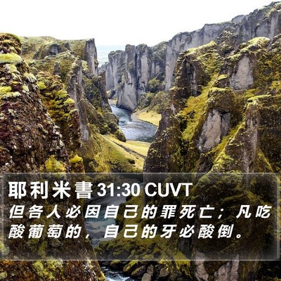 耶 利 米 書 31:30 CUVT Bible Verse Image
