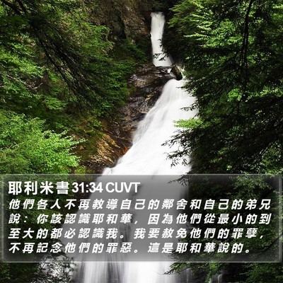 耶 利 米 書 31:34 CUVT Bible Verse Image