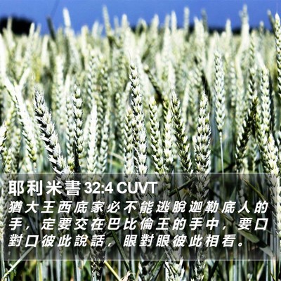 耶 利 米 書 32:4 CUVT Bible Verse Image