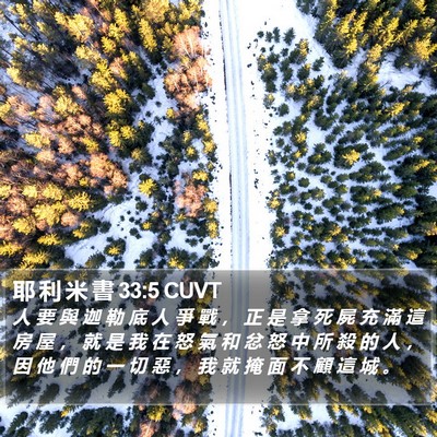 耶 利 米 書 33:5 CUVT Bible Verse Image