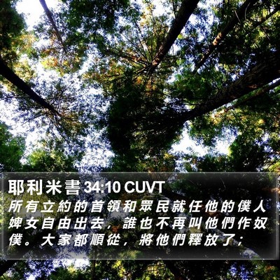 耶 利 米 書 34:10 CUVT Bible Verse Image