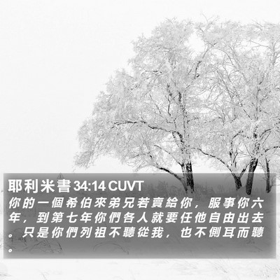 耶 利 米 書 34:14 CUVT Bible Verse Image