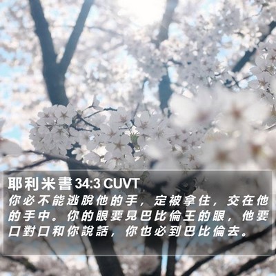 耶 利 米 書 34:3 CUVT Bible Verse Image
