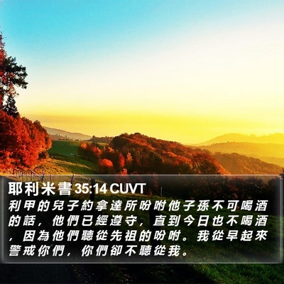 耶 利 米 書 35:14 CUVT Bible Verse Image