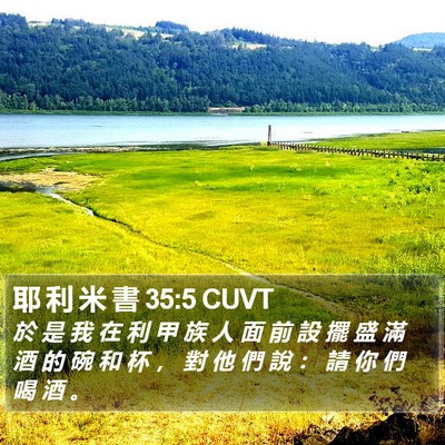 耶 利 米 書 35:5 CUVT Bible Verse Image
