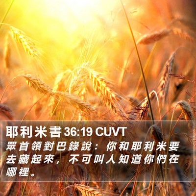 耶 利 米 書 36:19 CUVT Bible Verse Image