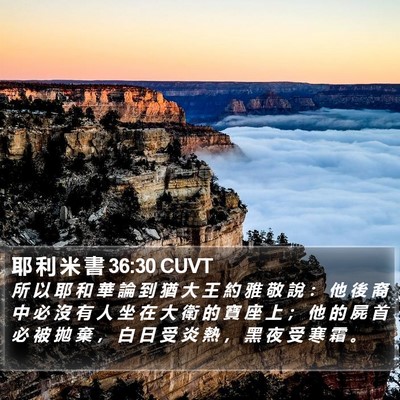耶 利 米 書 36:30 CUVT Bible Verse Image