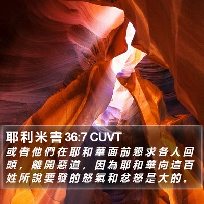 耶 利 米 書 36:7 CUVT Bible Verse Image