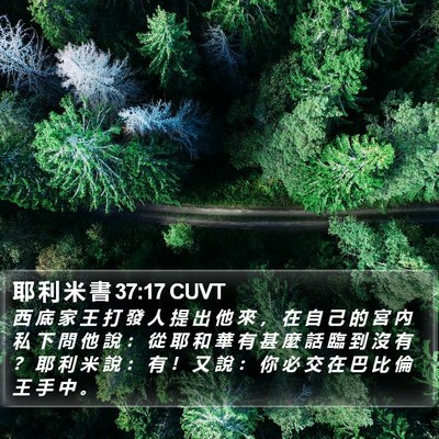 耶 利 米 書 37:17 CUVT Bible Verse Image