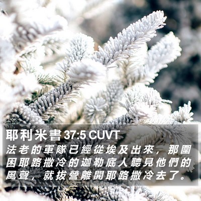 耶 利 米 書 37:5 CUVT Bible Verse Image