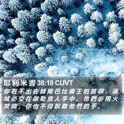 耶 利 米 書 38:18 CUVT Bible Verse Image