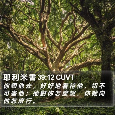 耶 利 米 書 39:12 CUVT Bible Verse Image