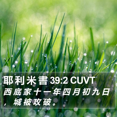 耶 利 米 書 39:2 CUVT Bible Verse Image