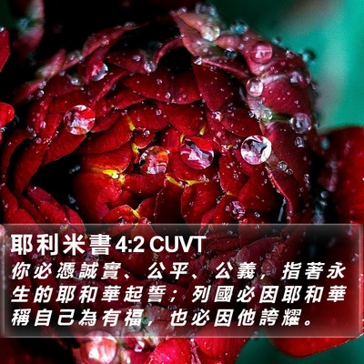 耶 利 米 書 4:2 CUVT Bible Verse Image