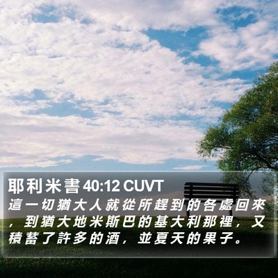 耶 利 米 書 40:12 CUVT Bible Verse Image