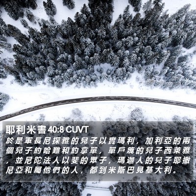 耶 利 米 書 40:8 CUVT Bible Verse Image