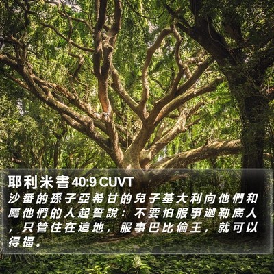 耶 利 米 書 40:9 CUVT Bible Verse Image