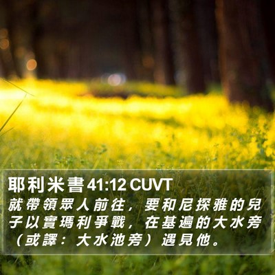 耶 利 米 書 41:12 CUVT Bible Verse Image