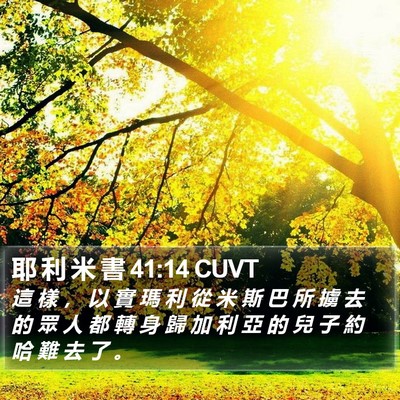 耶 利 米 書 41:14 CUVT Bible Verse Image