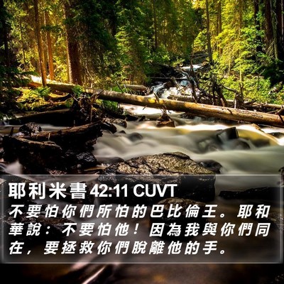 耶 利 米 書 42:11 CUVT Bible Verse Image