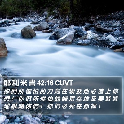 耶 利 米 書 42:16 CUVT Bible Verse Image